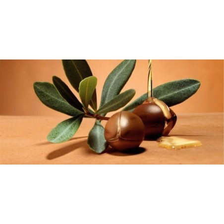 CHAMPU PARA CABELLO SECO DE ARGAN PURO