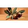 CHAMPU PARA CABELLO SECO DE ARGAN PURO
